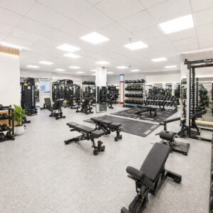 Palestra